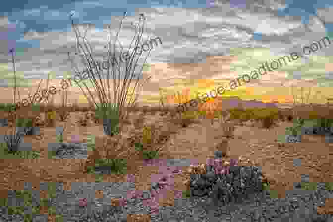 A Breathtaking Sunset Over The Chihuahuan Desert Carlsbad And Carlsbad Caverns (Images Of America)