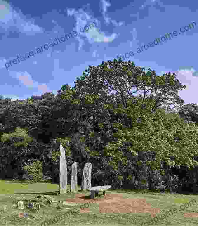 An Image Of A Druid Standing Amidst A Sacred Grove, Surrounded By Ancient Trees And Swirling Mists. The 21 Lessons Of Merlyn: A Study In Druid Magic Lore