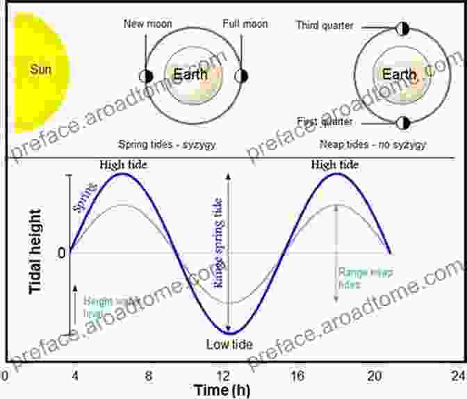 Animated Representation Of The Tidal Cycle, Showing The Changing Sea Level Over Time Waves Tides And Shallow Water Processes