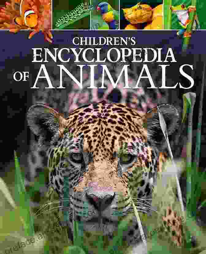 Author Avatar MY FIRST ENCYCLOPEDIA FOR KIDS: Animals Enciclopedy For Kids