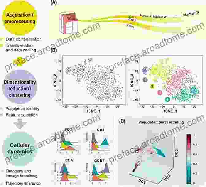 Bioinformatics Tools Provide Computational Support For High Dimensional Data Analysis Exploration And Analysis Of DNA Microarray And Other High Dimensional Data (Wiley In Probability And Statistics)