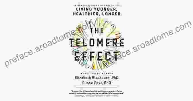 Book Cover Of 'Revolutionary Approach To Living Younger Healthier Longer' The Telomere Effect: A Revolutionary Approach To Living Younger Healthier Longer