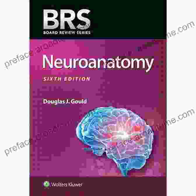 BRS Neuroanatomy Board Review Series Book BRS Neuroanatomy (Board Review Series)