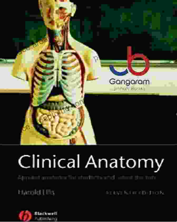 Cover Of Applied Anatomy For Students And Junior Doctors Clinical Anatomy: Applied Anatomy For Students And Junior Doctors