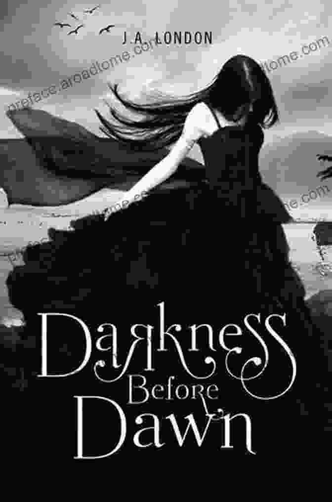 Darkness Before Dawn Book Cover Darkness Before Dawn: Redefining The Journey Through Depression