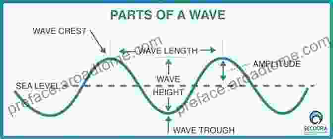 Detailed Diagram Illustrating The Anatomy Of A Wave Waves Tides And Shallow Water Processes