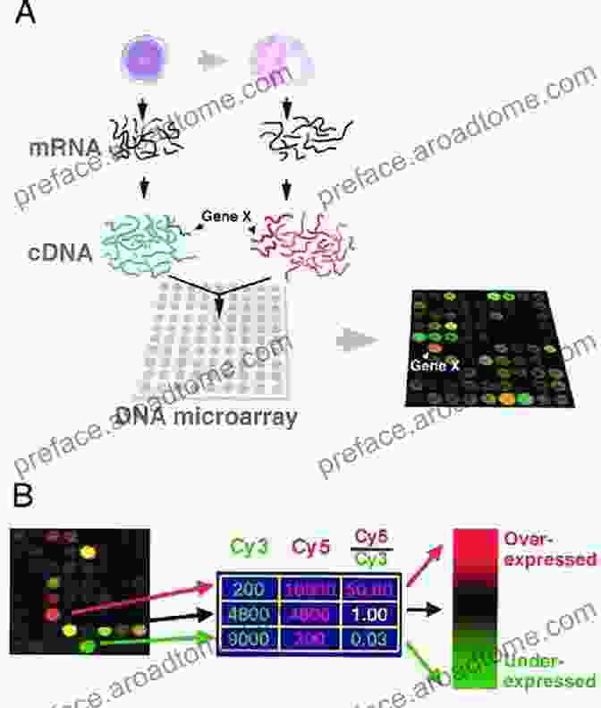 DNA Microarray Technology Enables Simultaneous Measurement Of Thousands Of Gene Expression Levels Exploration And Analysis Of DNA Microarray And Other High Dimensional Data (Wiley In Probability And Statistics)