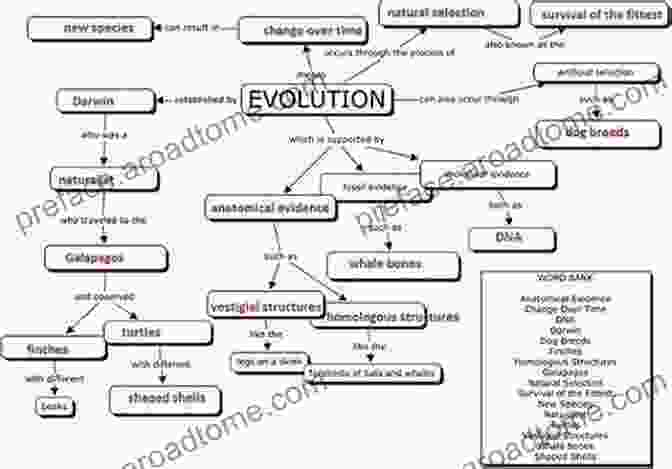 Evolution And Creation Concepts In A Modern Context ng Theology In An Evolutionary Way