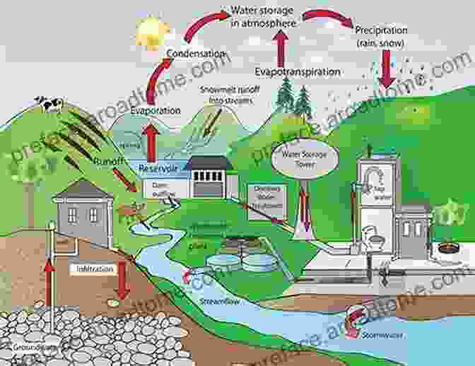 Human Activities Can Affect Water Cycles Water Cycles DK