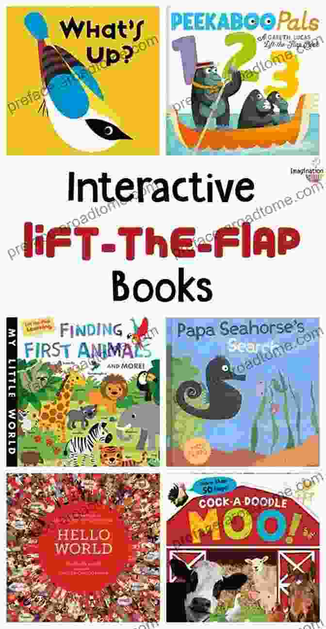 Interactive Lift The Flap Activity Baby S First 123 DK