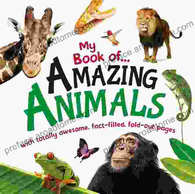 Let's Learn Animals Book Cover Featuring A Group Of Diverse Animals Let S Learn Animals: Fact In Your Fingertips The Encyclopedia For Kids About Animals