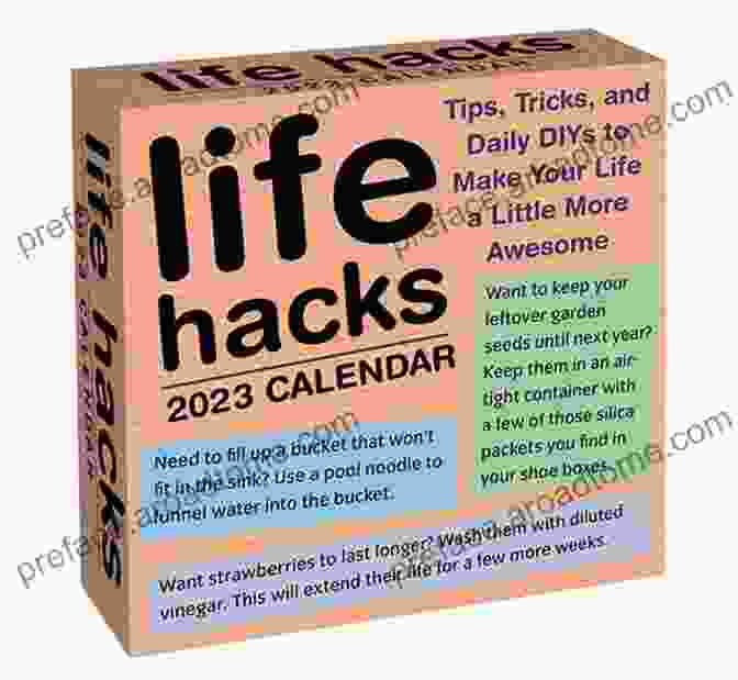 Life Hacks Day By Day Book Cover Life Hacks: Any Procedure Or Action That Solves A Problem: Life Hacks Day By Day