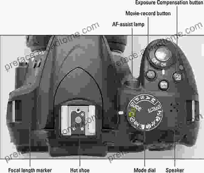 Nikon D3300 Control Buttons And Dials Labeled And Explained Nikon D3300 Experience The Still Photography Guide To Operation And Image Creation With The Nikon D3300