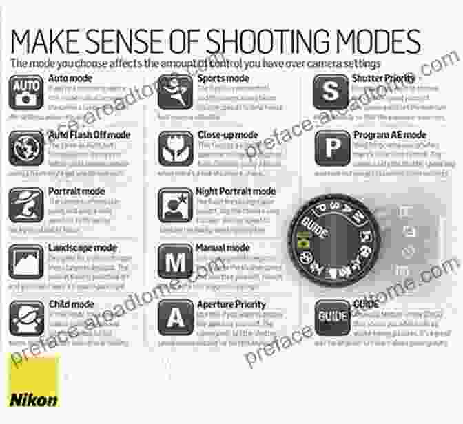 Overview Of Creative Modes Available On The Nikon D3300, Including Scene Modes, Effects, And Filters Nikon D3300 Experience The Still Photography Guide To Operation And Image Creation With The Nikon D3300