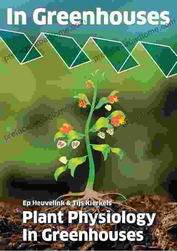 Plant Physiology Experiment In A Greenhouse Practical R For Biologists: An 