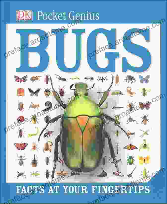 Pocket Genius Bugs Book Cover Pocket Genius Bugs: Facts At Your Fingertips