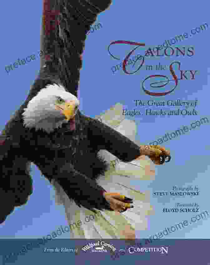 Talons In The Sky Book Cover: A Gripping Novel Set During The Battle Of Britain, Featuring A Brave Female Pilot And A Cast Of Unforgettable Characters. Talons In The Sky: The Great Gallery Of Eagles Hawks And Owls