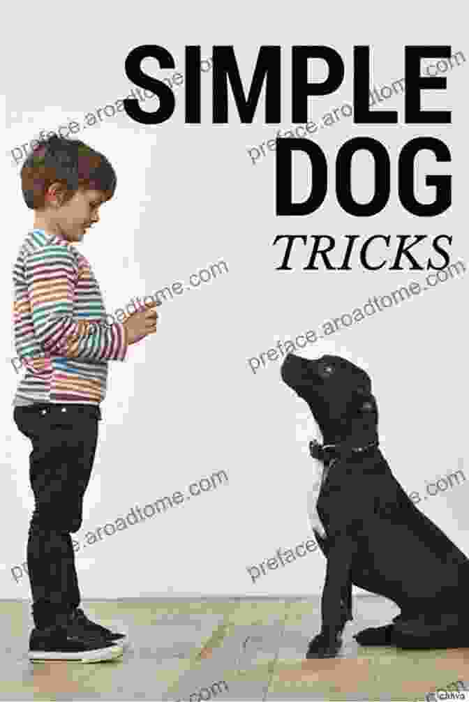 The Only Dog Tricks You'll Ever Need: Unlock The Secrets Of Dog Training The Only Dog Tricks You Ll Ever Need: Impress Friends Family And Other Dogs