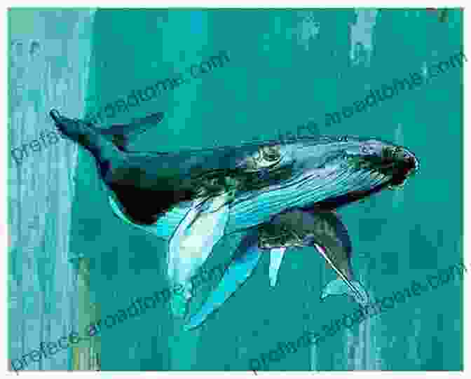 Vibrant Illustration Of A Whale And Its Calf Ocean Life For Kids (Tinker Toddlers): 2 Levels Of Learning Marine Life Facts Ages Baby 8 Oceanography Picture Of Whales Sharks Penguins Turtles And More