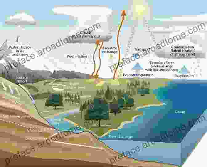 Water Evaporates From A Pond And Sublimates From A Glacier Water Cycles DK