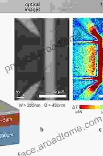 Quantum Thermodynamic Processes: Energy And Information Flow At The Nanoscale