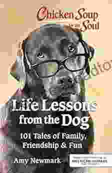 Chicken Soup For The Soul: Life Lessons From The Dog: 101 Tales Of Family Friendship Fun