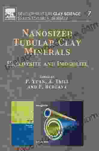 Nanosized Tubular Clay Minerals: Halloysite And Imogolite (ISSN 7)