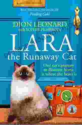 Lara The Runaway Cat: One Cat S Journey To Discover Home Is Where The Heart Is