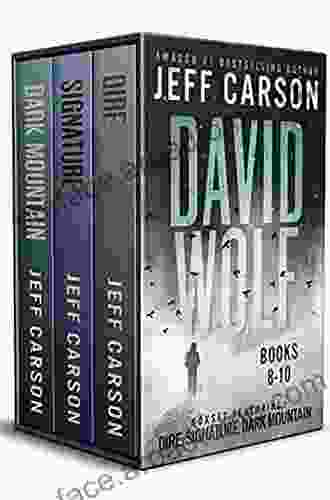 The David Wolf Mystery Thriller Series: 1 4 (The David Wolf Box Set 1)