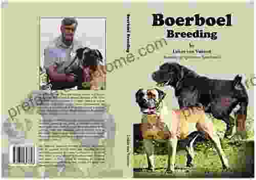 Boerboel Breeding Don Miguel Ruiz