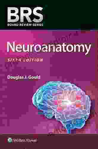 BRS Neuroanatomy (Board Review Series)