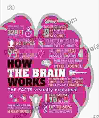 How The Brain Works: The Facts Visually Explained (How Things Work)