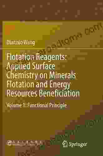 Flotation Reagents: Applied Surface Chemistry On Minerals Flotation And Energy Resources Beneficiation: Volume 2: Applications