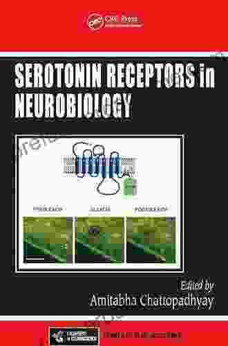 Serotonin Receptors In Neurobiology (Frontiers In Neuroscience)