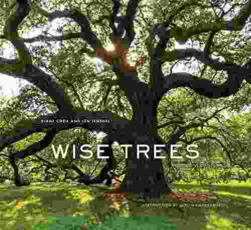 Wise Trees Diane Cook