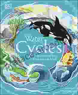 Water Cycles DK